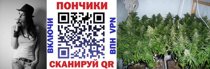 Наркота Дальнегорск ГАШИШ АМФЕТАМИН Мефедрон