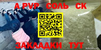 соль ск Кингисепп