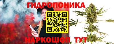 соль ск Кингисепп
