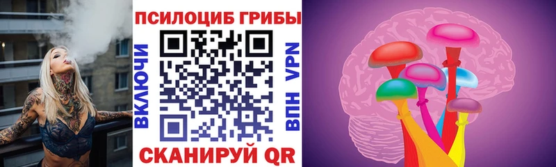 OMG маркетплейс  Дальнегорск  Галлюциногенные грибы Psilocybe 