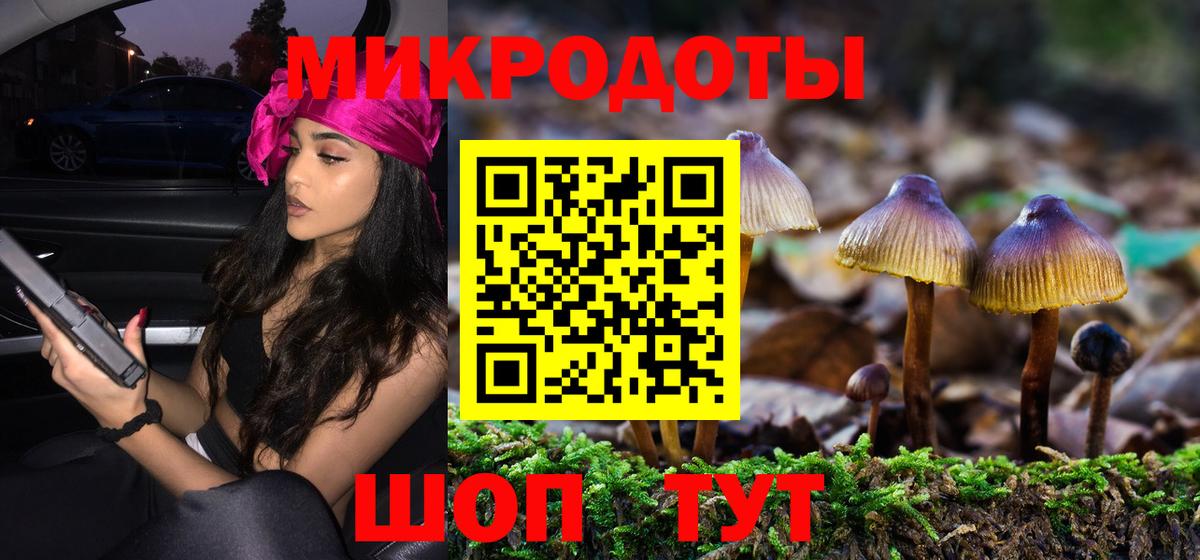 Галлюциногенные грибы мицелий  Вход с VPN  даркнет сайт  Дальнегорск 